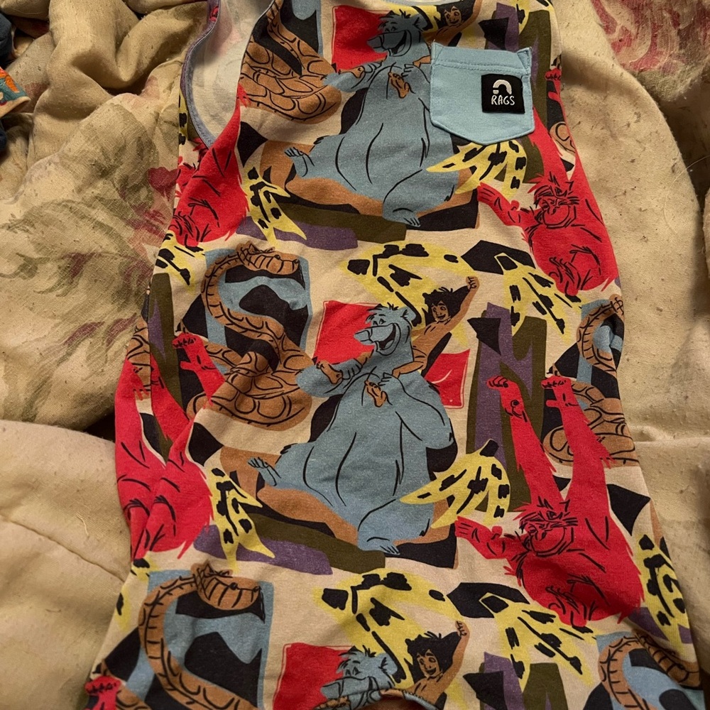 Rags